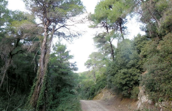 Outstanding Panoramic View, 10΄ Beach, 20΄ Airport - Foto 22