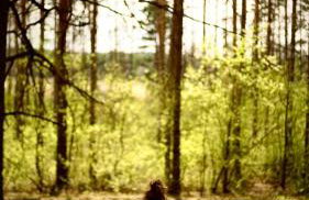 Maciejówka Borki 33 - Foto 42