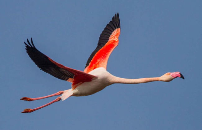 Tour in Calp - Photo 3