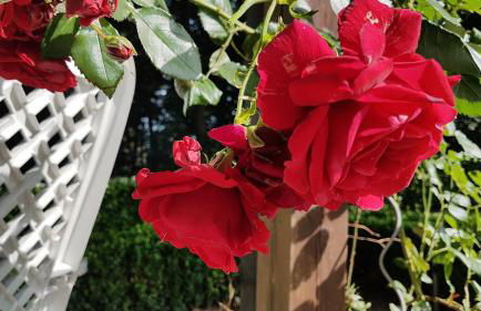 Ferienwohnung "Tecklenburger Augenblicke" - Foto 5