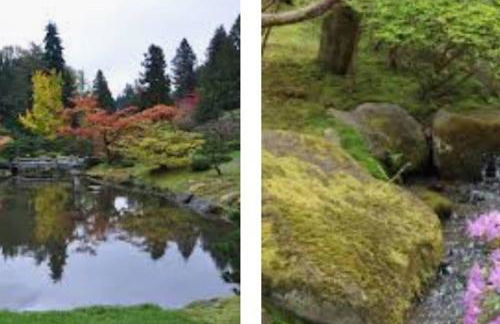 Arboretum Escape - Foto 9