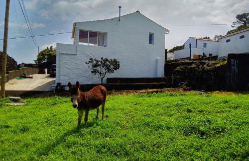 Casa do Marcelino Lagarto - Photo 40
