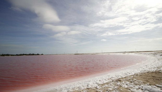 Tour Paradisiaco: Lago Rosa Las Coloradas y Rio Lagartos con Almuerzo incluido. - Foto 5, Espuma de sal en el lago
