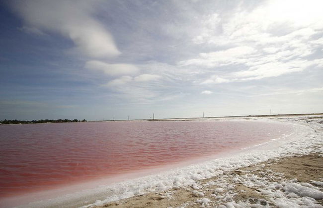 Paradiesische Tour: Las Coloradas Pink Lake und Rio Lagartos inklusive Mittagessen. - Foto 5