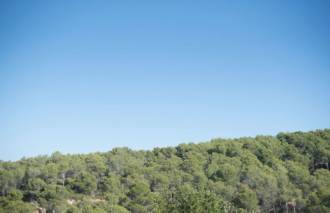 Julius House With Pool 7Km From The Beach (R75) - Foto 28