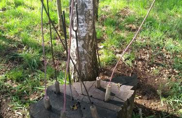 Gierszówka Smak&Relaks - Foto 61