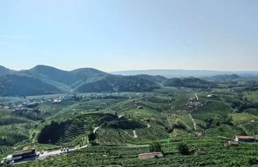 Relax nelle colline del Prosecco - Foto 22