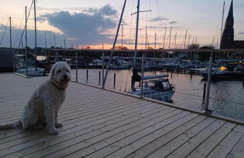 Hausboot Glücksmomente mit Dachterrasse in Schleswig am Ostseefjord Schlei - Foto 22
