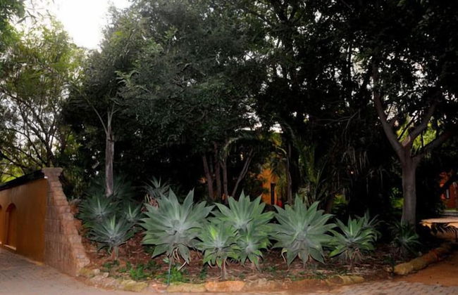 Dalens Self Catering Apartments - Foto 40