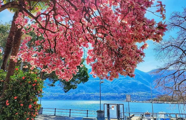 One & Only Losone Apartment - Foto 62