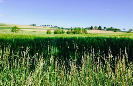 Ferienwohnung Schlossblick - Foto 24
