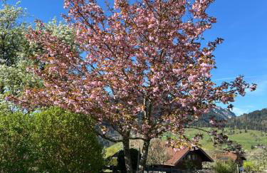 Landhaus Brigitte - Photo 71