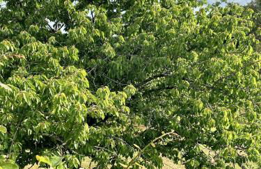 Villa spacieuse à Prailles-La Couarde avec piscine privée 100 m² ! - Foto 30