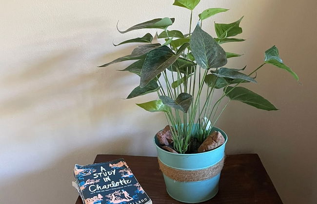 Hermosas Villa Privadas con piscina - Foto 5