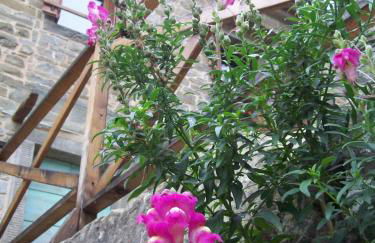 Pieve di Cà Maggiore - Photo 26