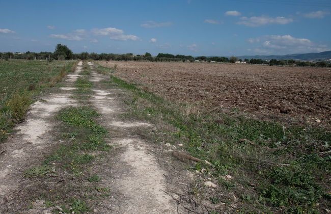 Serravalle Relais & Country Villa - Photo 21