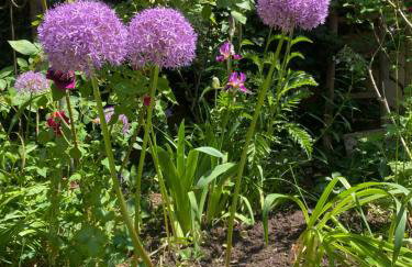 Wohnen & Kunst - Foto 29