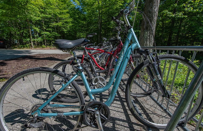 The Rushes - Foto 32