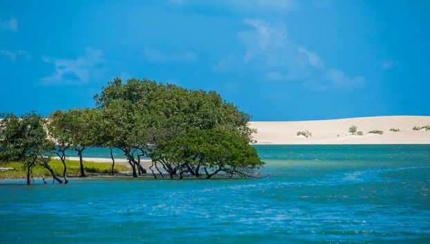 Excursión a Galinhos + Paseo en barco - Foto 2