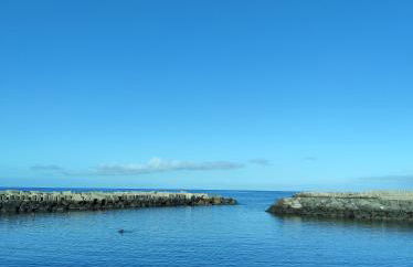 Apartamento Pestana - Foto 34