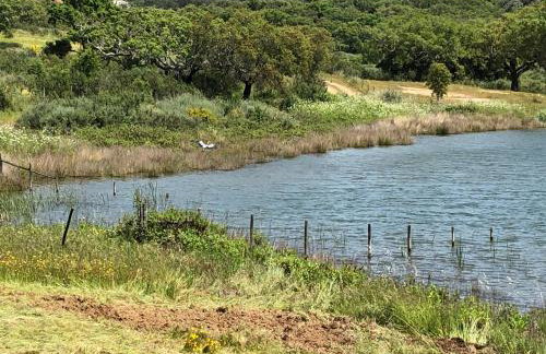 Fontes - A essência do Alentejo com lago privado - Foto 32