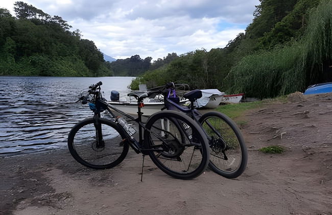 Cabañas Los Notros Puerto Varas - Photo 26