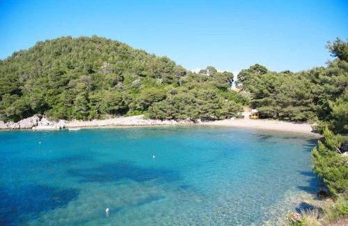 Baldo's Happy Garden- BRAND NEW - Foto 26