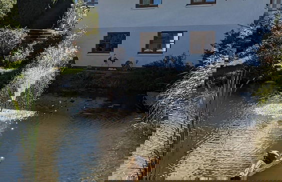 Forest Hideaway for 2 Guesst - Foto 17