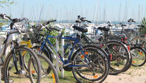 Landferienwohnung im Gutshaus OFC 28 - Foto 4