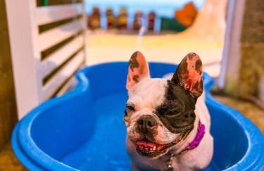 Casa com pes na areia em Iriri - ES - Foto 14