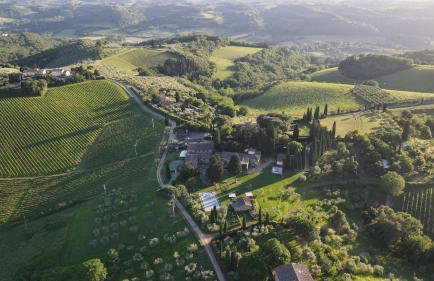 Fattoria la Loggia - Foto 87