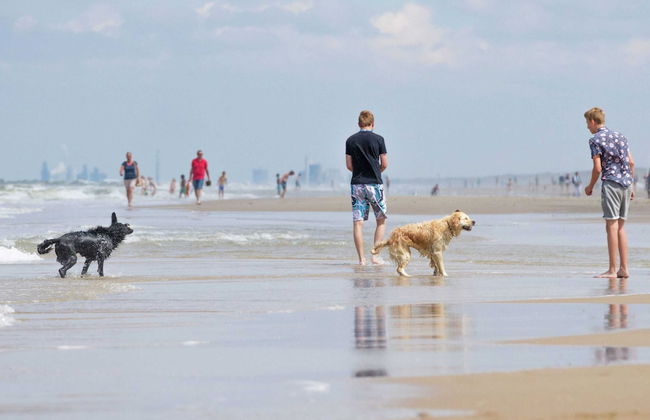 Detached House With Garden Near the Sea - Photo 12