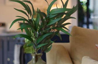 Mary's Lane - Foto 14