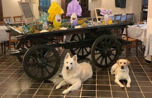 Artesina - ski in & ski out - vista sulle Alpi e camino - Foto 33