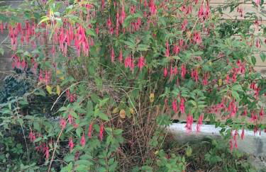 Gite des 2 chênes entre Avenue verte, Lacs, Piscine et Casino - Foto 25