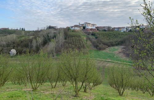 Coppo 1829 - Foto 25