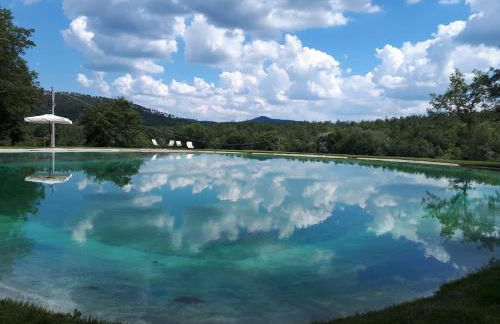 Agriturismo San Galgano - Foto 5