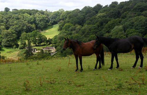 Ty Twt - complete holiday home - Photo 5