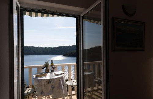 Pansion Mali Raj - Photo 49