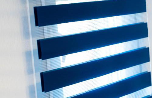 Elvis Nest - Photo 55