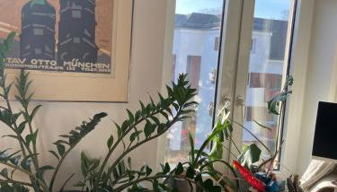 Bright old building whole Apartment Cologne - Foto 2