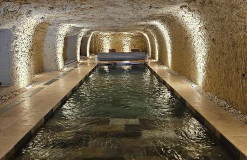 Le Petit Versailles Loire Tours - Photo 1