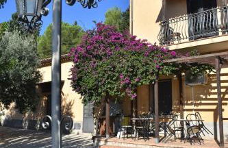 Azienda Agrituristica Biologica Il Querceto - Foto 27