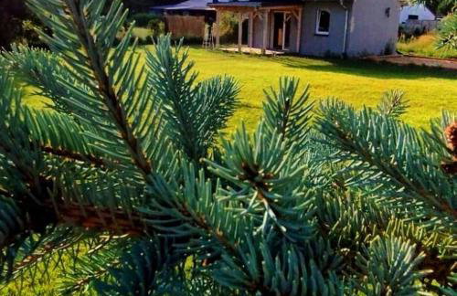 Żurawisko - Domki wśród natury - Foto 10