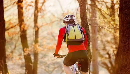 Pet-Friendly Accommodation for Two near World Equestrian Games, North Carolina - Foto 5