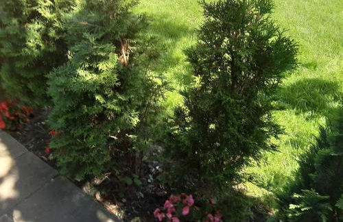 Gästehaus im Grünen - Photo 2