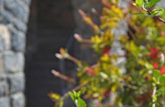 Kalo Nero Apartments - Foto 6