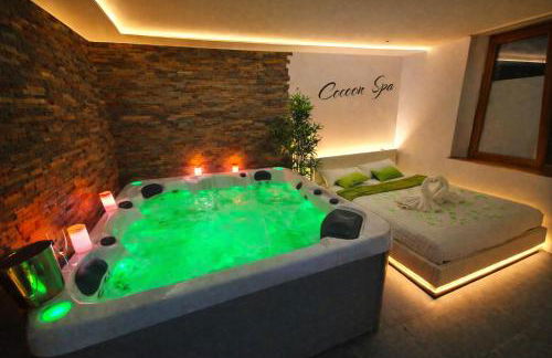 COCOON SPA-4 Pers-Jacuzzi-Parking-Jardin-Clim-Colmar - Foto 11