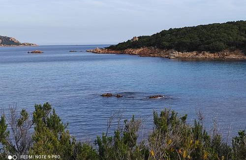 Agriturismo Asara - Foto 13