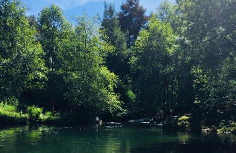 Quinta D`Manuel Maria- Rural Charm Houses - Foto 12